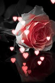 We did not find results for: Flowers Gifs Gifs Gurunadham Jakka Sharechat India S Own Indian Social Network