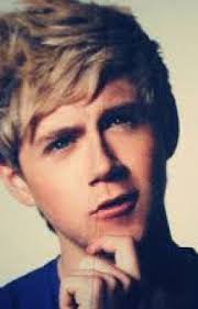 Niallsgirl Stories