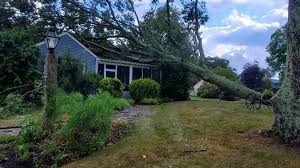 02703, attleboro, bristol county, ma. Severe Thunderstorm Sees Heavy Tree Damage Wires Down In Attleboro Wjar