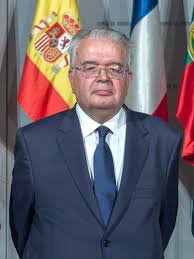 (ley orgánica del tribunal constitucional). President Of The Constitutional Court Spain Wikipedia