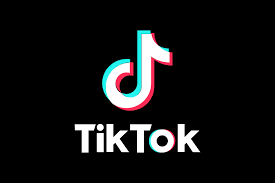 Download Tiktok Logo In Svg Vector Or Png File Format Logo Wine