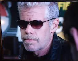 What do you think about the name Silverback?