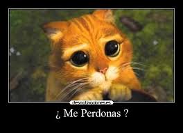 Pin On Frases