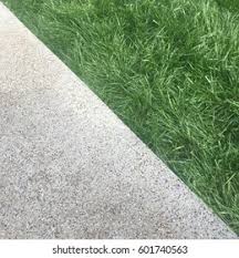 Biodegradable grass seed mat, fertilizer garden picnic gardening lawn planting mat,thermal insulation, moisturizing, shading garden lawn erosion control blanket grass seed pad. Contrast Concrete Grass Texture Stock Photo Edit Now 601740563