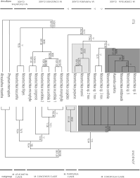 Image result for Sarcophrynium prionogonium