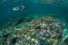 Coral Sea Water World Ex Coral Sea Resort 5 Kawthaung And Myeik Archipelago In Southern Part Of Myanmar Are Famous For Their Hundreds Of Beautiful Islands Mergui Archipelago Beautiful Islands Archipelago