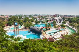 Maybe you would like to learn more about one of these? Commercial Pool Coolers By Glacier Pool Coolers Glacier Pool Coolers