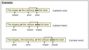 Ever get subject/verb agreement as an error on a paper? Subject Verb Agreement Rules Flashcards Quizlet