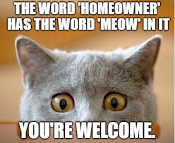 Maybe you would like to learn more about one of these? 310 Best Mortgage Humor Ideas In 2021 Mortgage Humor Real Estate Humor Humor