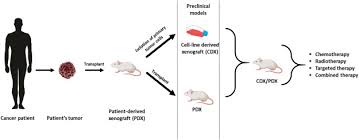 Choosing The Right Animal Model For Renal Cancer Research Sciencedirect