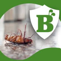 We will also provide diy techniques that you can use in the home for a variety of pests. Diy Pest Control Keeps Strangers And Who Knows What Else Out Of Your Home