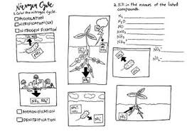 Nitrogen Cycle Coloring Sheet And Labeling Nitrogen Cycle Nitrogen Fixation Nitrogen