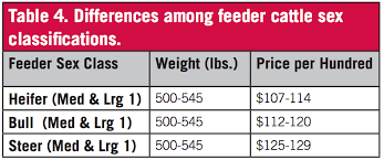 Feeder Calf Grading Fundamentals Uga Cooperative Extension