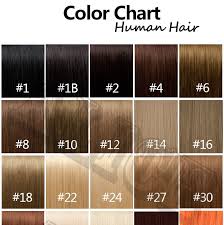 Human Hair Color Chart Extensions 31 Colors Hair Colour Chart Human Hair Color Ring Hair Extension Color Ring