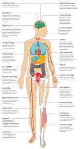 Pin On To Better Health