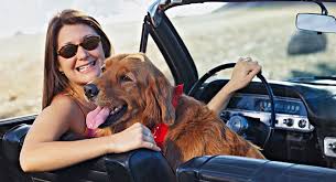 Friendly staff, and helped me out with a later checkout. Dog Friendly Travel Michigan