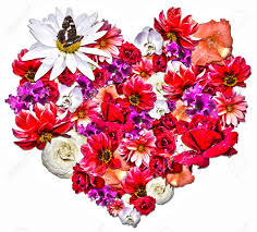 Decorative photo effect to upload an image and put it inside a heart with another made of colorful flowers, perfect effect to dedicate to someone and with your photo for. Beautiful Heart Made Of Different Flowers As A Symbol Of Love Stock Photo Picture And Royalty Free Image Image 38757256