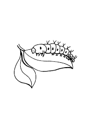 All information about caterpillar coloring pages to print. Free Printable Caterpillar Coloring Pages For Kids