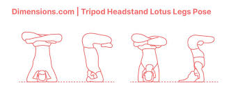 Tripod Headstand Lotus Legs Pose Sirsasana Li Padmasana Headstand Poses Lotus Pose