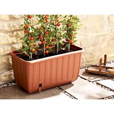 We specialize in growing tomatoes! Portable Self Watering Tomato Planter Scotts Of Stow