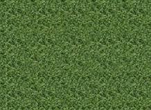 Image result