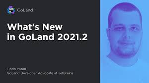 Webinar Recording: Migrating to Gogland from a Code Editor: Tips & Tricks