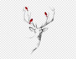 Hirsch Abzieh Tattoo Elch Zeichnen Hirsch Abziehtattoo Tier Tiere Png Pngwing