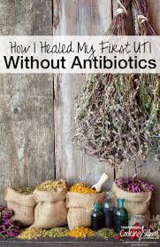How I Healed My First Uti Without Antibiotics