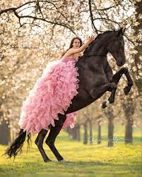 beautiful horses breeds pferde madchen fotografie schonste pferde tierfotografie