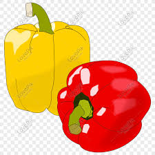 Cute Cartoon Hand Drawn Vegetable Bell Pepper Bell Pepper Bell Png Image Picture Free Download 401304143 Lovepik Com 10:16 kdeb cooking recommended for you. cute cartoon hand drawn vegetable bell
