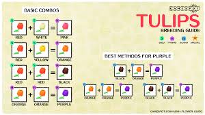 Black And Pink Roses Animal Crossing Animal Crossing New Horizons Hybrid Flowers Guide How To Breed Flowers Gamespot In 2020 Animal Crossing New Animal Crossing Animal Crossing Game