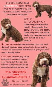 Grooming Services For Pets Maintain Their Cleanliness And Their Overall Health And Well Being Learn More Pets Petdog Animal Hospital Pet Grooming Pet Health