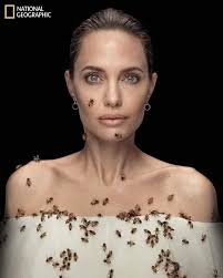 Angelina Jolie poses with bees to raise awareness about bee conservation