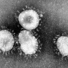 Corona Und Covid 19 Symptome Inkubationszeit Und Herkunft Des Coronavirus Region