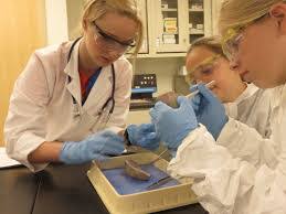 Vincent Mele's Instagram, Twitter & Facebook