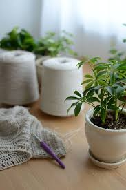 Top blogs about healthy living · 1. Blogs Tagged Healthy Life Style Atelier De Soyun