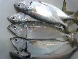 racun ikan racun ikan adalah racun yang dipergunakan untuk membuat lemas atau membunuh ikan, agar supaya ikan itu mudah ditangkap. Cara Cara Buat Ikan Lengat Paling Sedap Rasa Lemak Tahan Lama