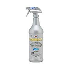How to avoid contact with flies in your home and garden. How To Stop Flies Biting Dog Ears In 1 Very Simple Step
