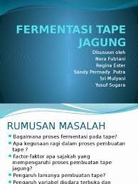Maybe you would like to learn more about one of these? Fermentasi Tape Jagung