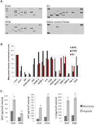 Comparison of secretory protein profiles of EDK, iPDK and BJ cells. A.... |  Download Scientific Diagram