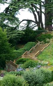 Wander The Wood Garden Warwickshire Garden Design