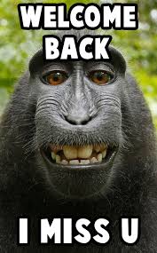 Welcome Back Meme Welcome Back Meme Memes Today Meme