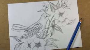 How To Draw Bird And Flowers Step By Step Hihi Pencil Bird Drawings Drawing For Beginners Drawings