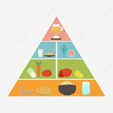 Ilustrasi jual buku seri mewarnai gambar boediono di lapak nandang isnandar ini dipetik dari pemilik berikut : Gambar Pemakanan Pagoda Bahan Vektor Makanan Turun Template Pagoda Pagoda Pemakanan Piramid Makan Sayur Sayuran Png Dan Psd Untuk Muat Turun Percuma à¹à¸à¸ 2021 à¸­à¸²à¸«à¸²à¸£