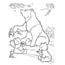 Little polar bear with his mom going for ride. Top 10 Free Printable Polar Bear Coloring Pages Online