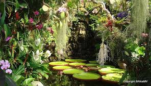 Pin On Things I Love