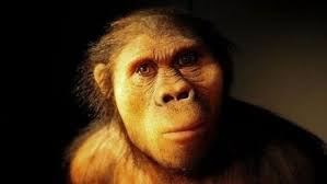 Homo Sapiens Survived by Inventing…Bullshit!