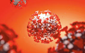 We know b117 is transmitting fast. Confirman Llegada De Nueva Cepa De Coronavirus A Mexico