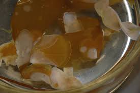 Image result for Isoglossa membranacea