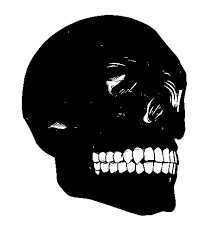 We did not find results for: Pixilart Wither Skeleton Skull By Themythicalmew